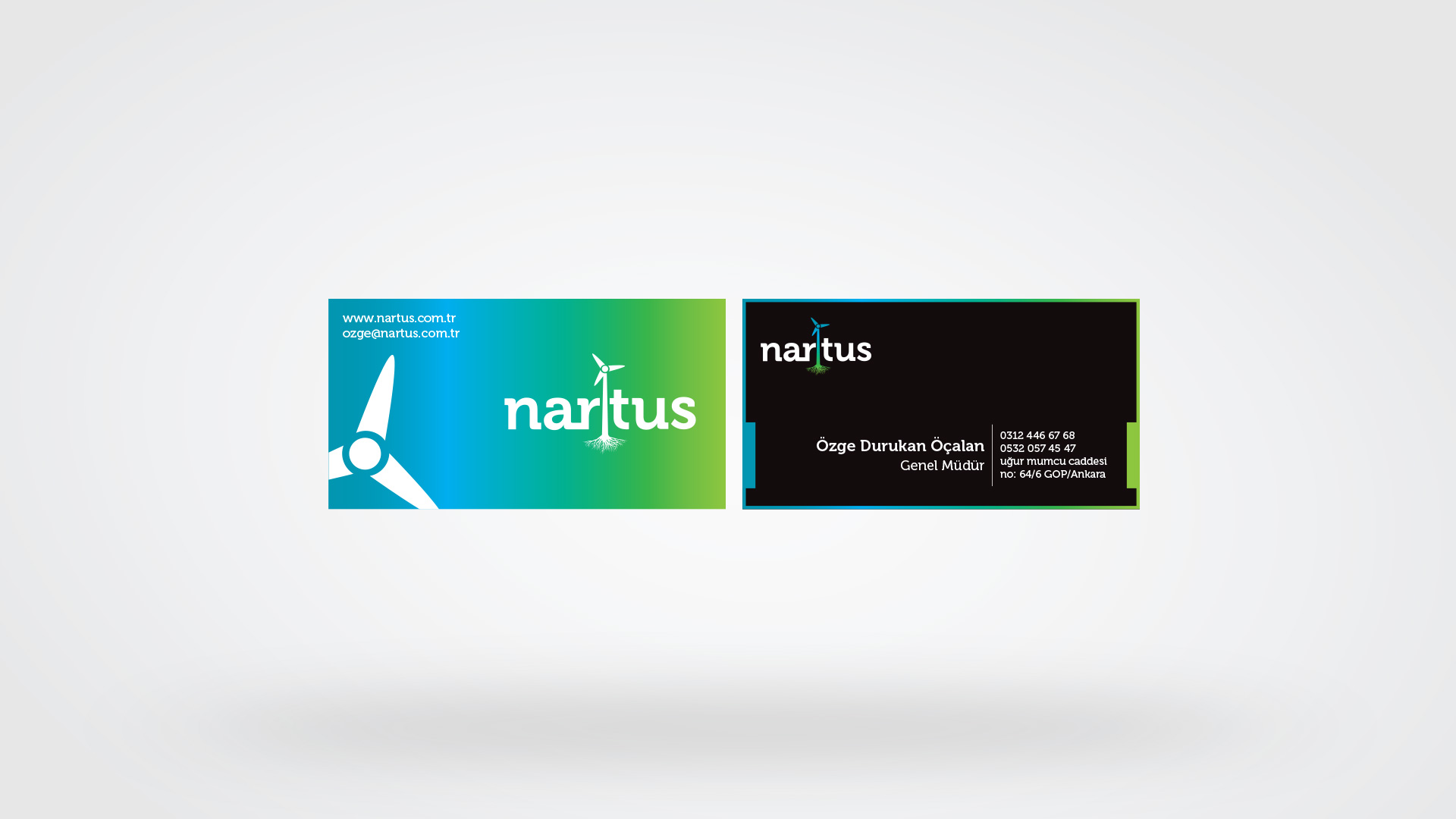 nartus-2